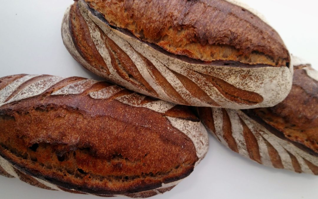 Fermeture pour congés du 08 au 16 mars 2026